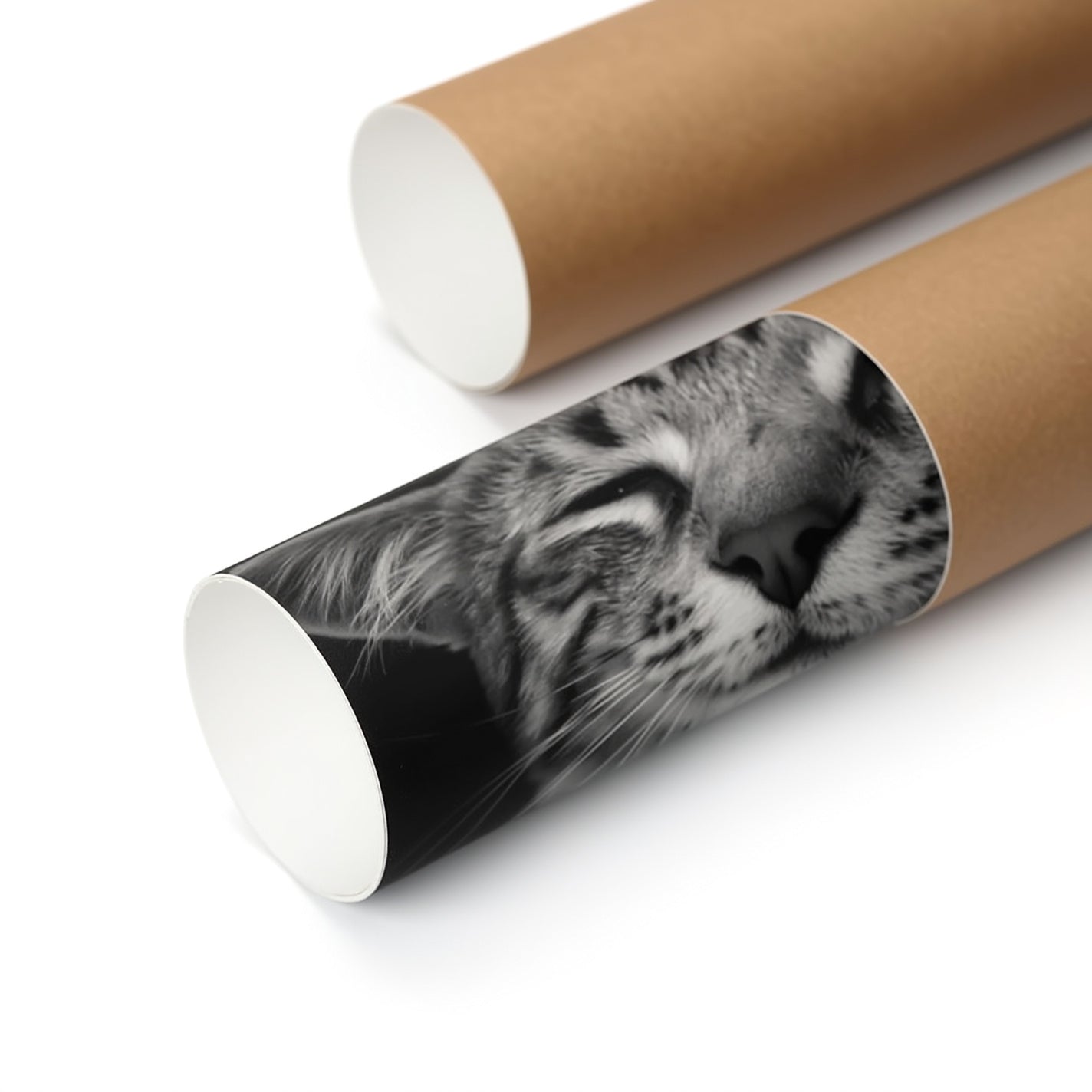 Affiche Guerrier Viking – Impression Art avec Symbole Nordique