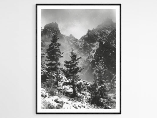 Affiche Montagnes Rocheuses – Poster Vintage Noir et Blanc Étrange