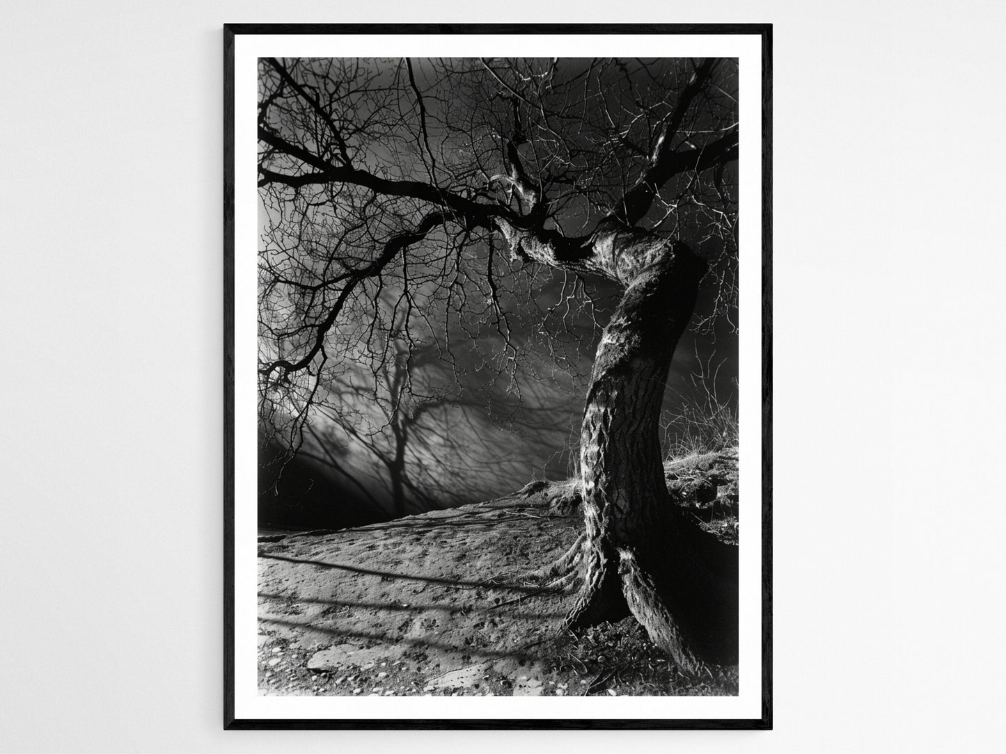 Affiche Arbre Tordu Étrange – Poster Photographie Noir et Blanc au Clair de Lune