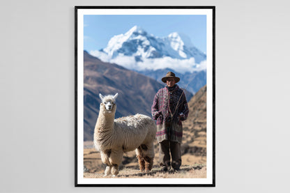 Affiche Alpaga en Andes – Poster Art Print Décor Mural Scénique