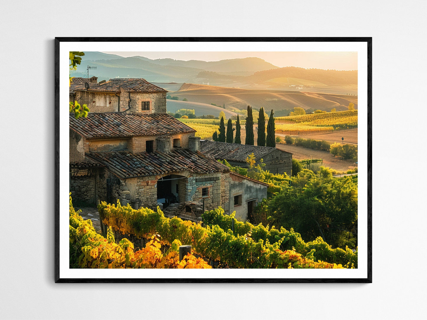 Affiche Vignoble Européen – Poster Décoratif Paysage de Vigne