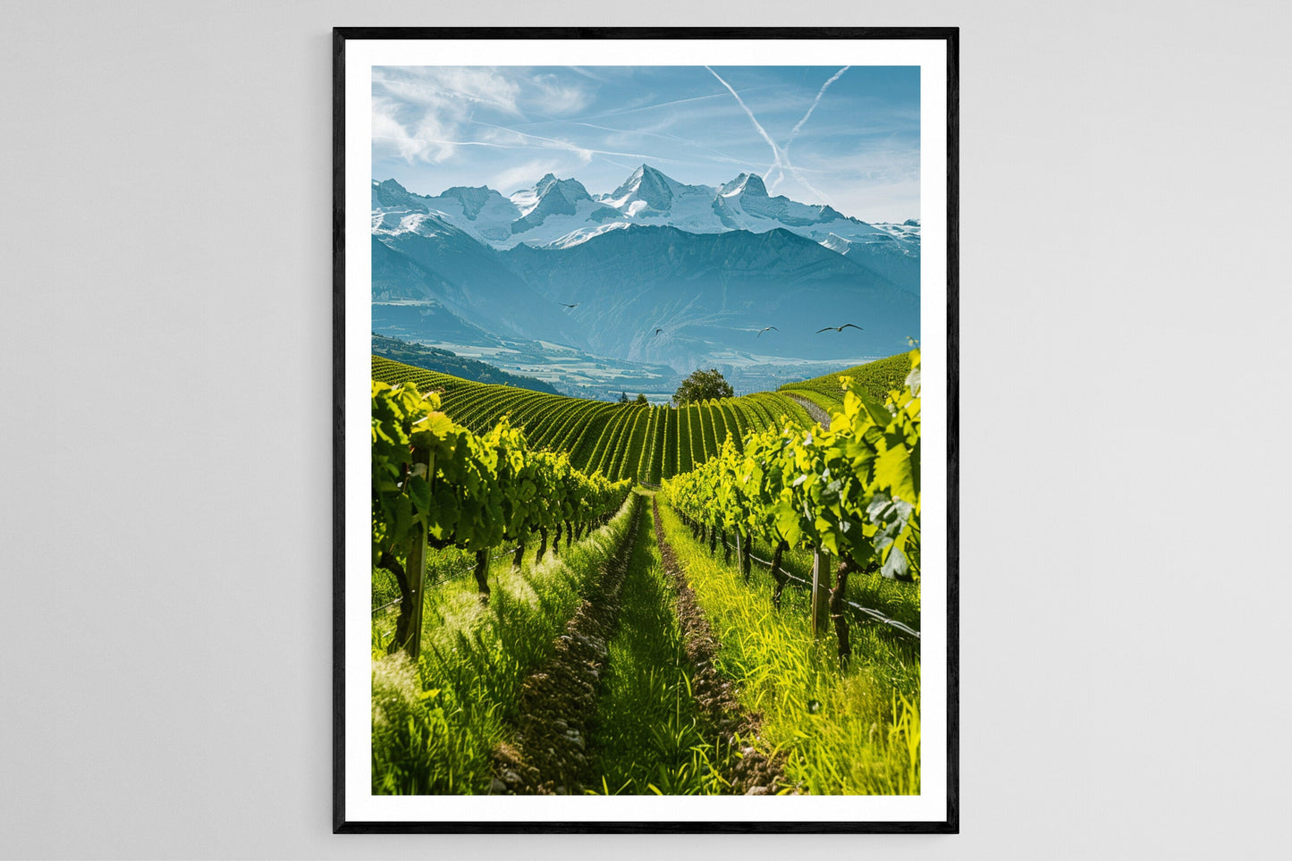Affiche Vignoble Européen – Impression artistique colorée sur papier mat