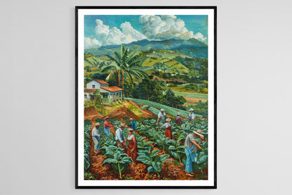 Affiche Champ de Tabac – Toile Giclée Éblouissante pour Décor de Bureau