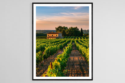 Affiche Vignoble Français – Poster Coucher de Soleil Rustique en Papier Mat