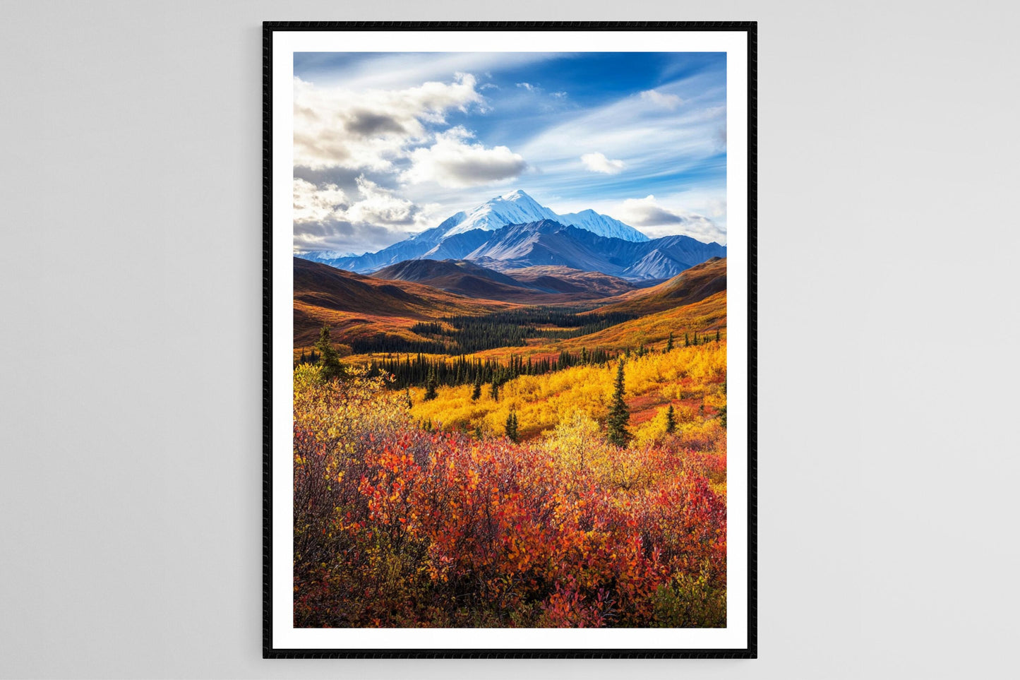 Affiche Parc National Denali – Illustration de Pics et Vallées Colorées