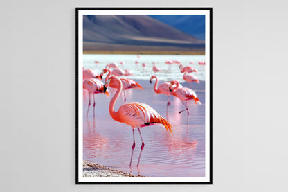 Affiche Laguna Colorada – Imprimé d'art du lac rouge vibrant avec flamants