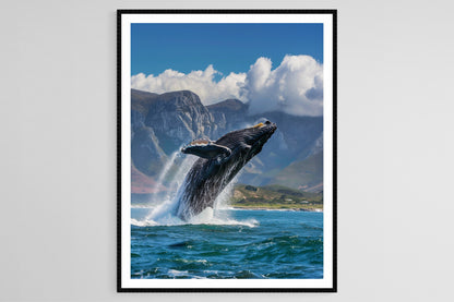 Affiche Observation des Baleines – Poster Art Maritimes et Côtiers