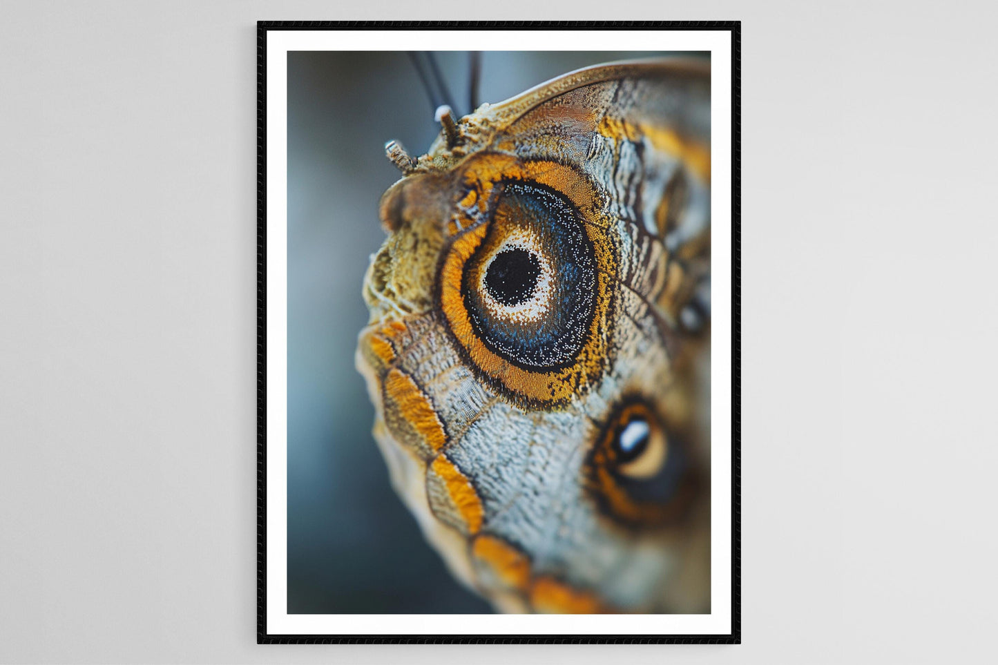 Affiche Papillon – Impression Art de la Trompe, Vue Macro Détails