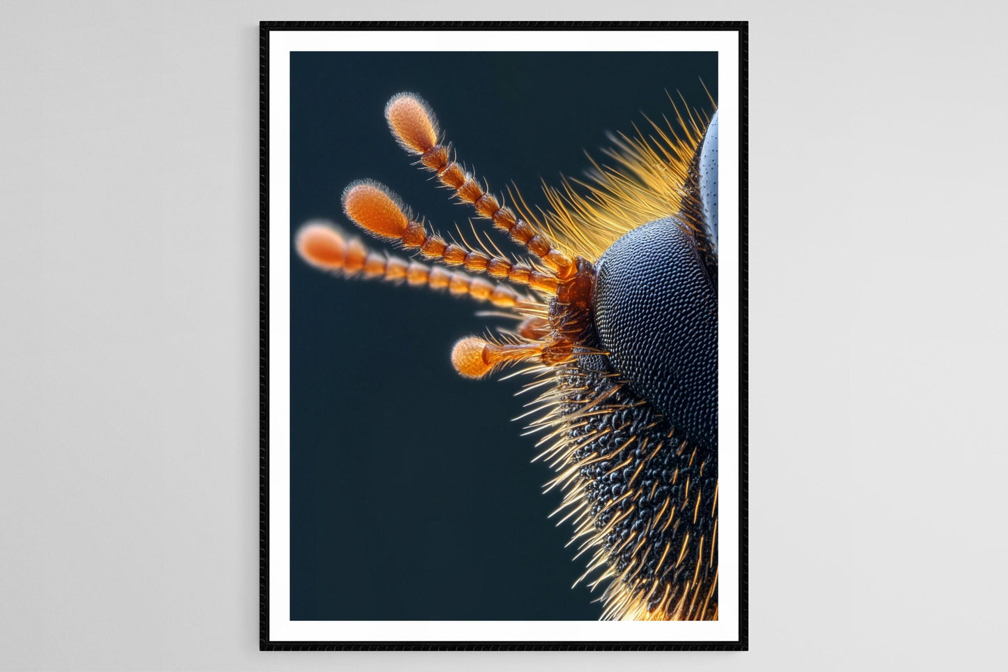 Affiche Art de Scarabée – Impression Macro Détails Antennes