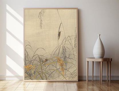 Affiche Sauterelles sur Riz, 1910 – Poster Art Shin Hanga Ohara Koson