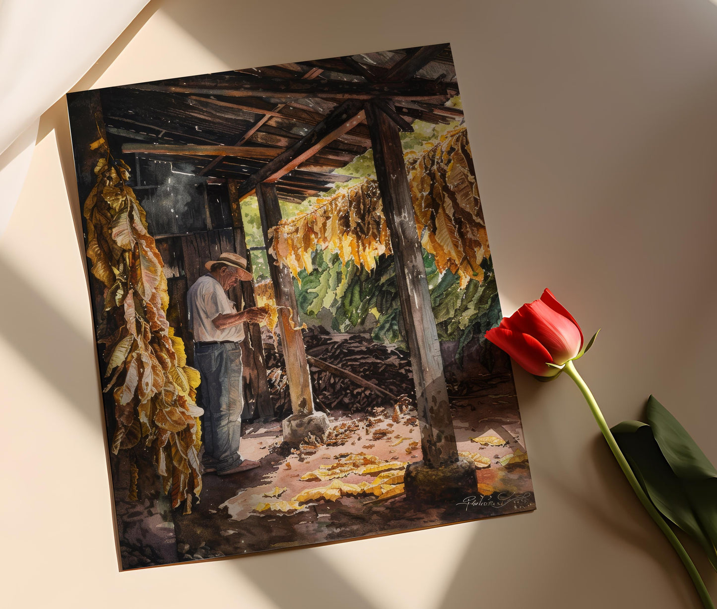 Affiche Cultivateur Cubain – Poster Art Coloré Tabac pour Salon