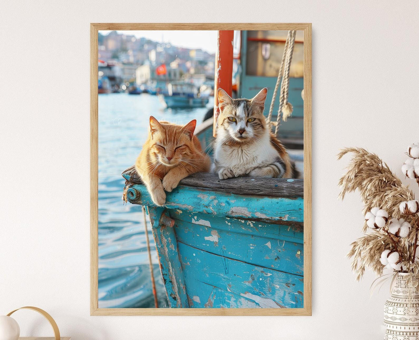 Affiche Chats d'Istanbul – Poster Photo de Chats de Rue Turcs
