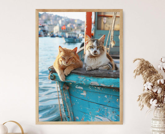 Affiche Chats d'Istanbul – Tirage Photo de Chat de Rue Turc