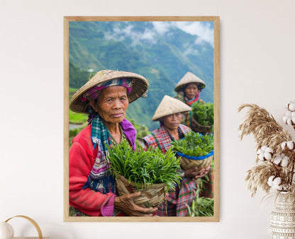 Affiche Ifugao – Poster Photo des Rizières Philippines, Décor Éthique