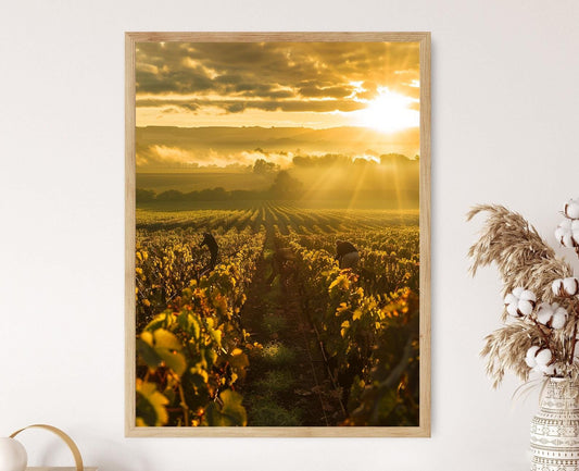 Affiche Vignoble Français – Poster Paysage de Bordeaux au Crépuscule
