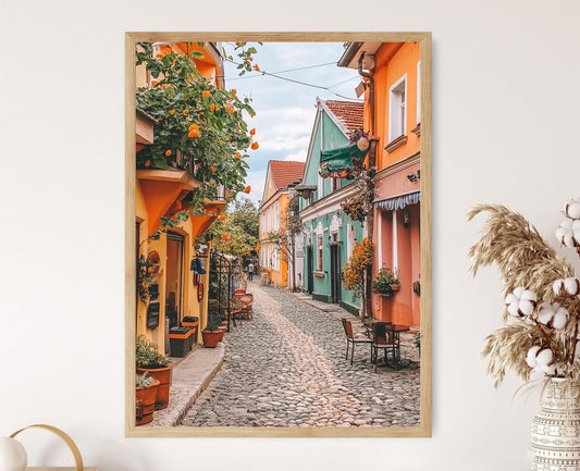 Affiche Novi Sad – Poster Charm des pavés et forteresse Petrovaradin