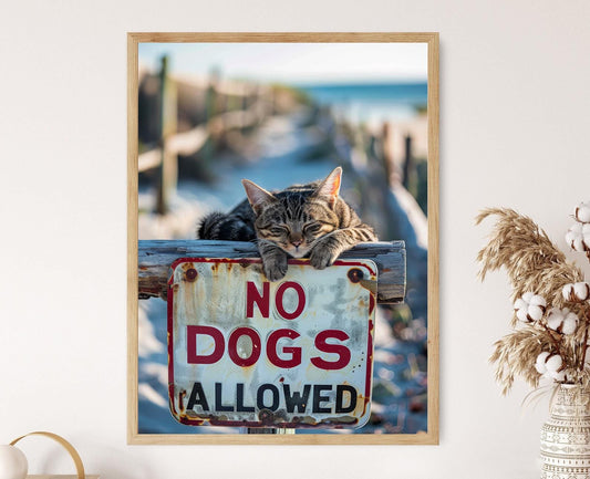 Affiche Chat Drôle sur Panneau 'Chiens Interdits' - Art Animalier Amusant