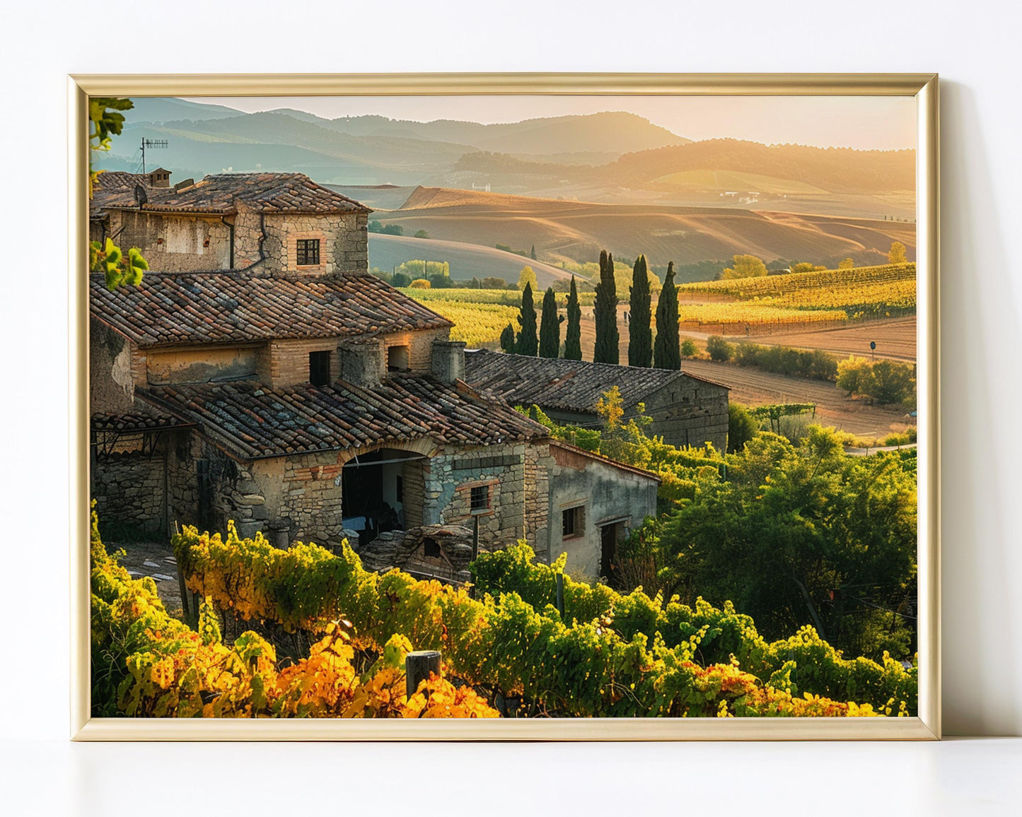 Affiche Vignoble Européen – Poster Décoratif Paysage de Vigne