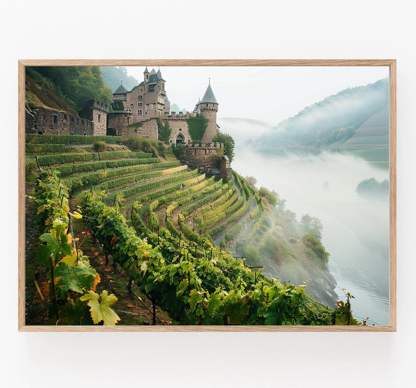 Affiche Vignoble Allemand – Poster Mat Coloré pour Amateurs de Vin