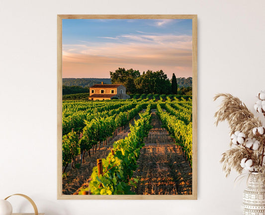Affiche Vignoble Français – Poster Coucher de Soleil Rustique en Papier Mat