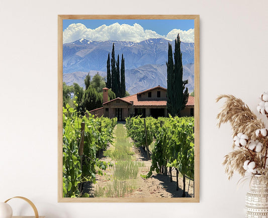 Affiche Vignoble Mendoza - Art Paysager Scénique d'Argentine