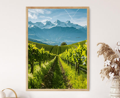 Affiche Vignoble Européen – Impression artistique colorée sur papier mat