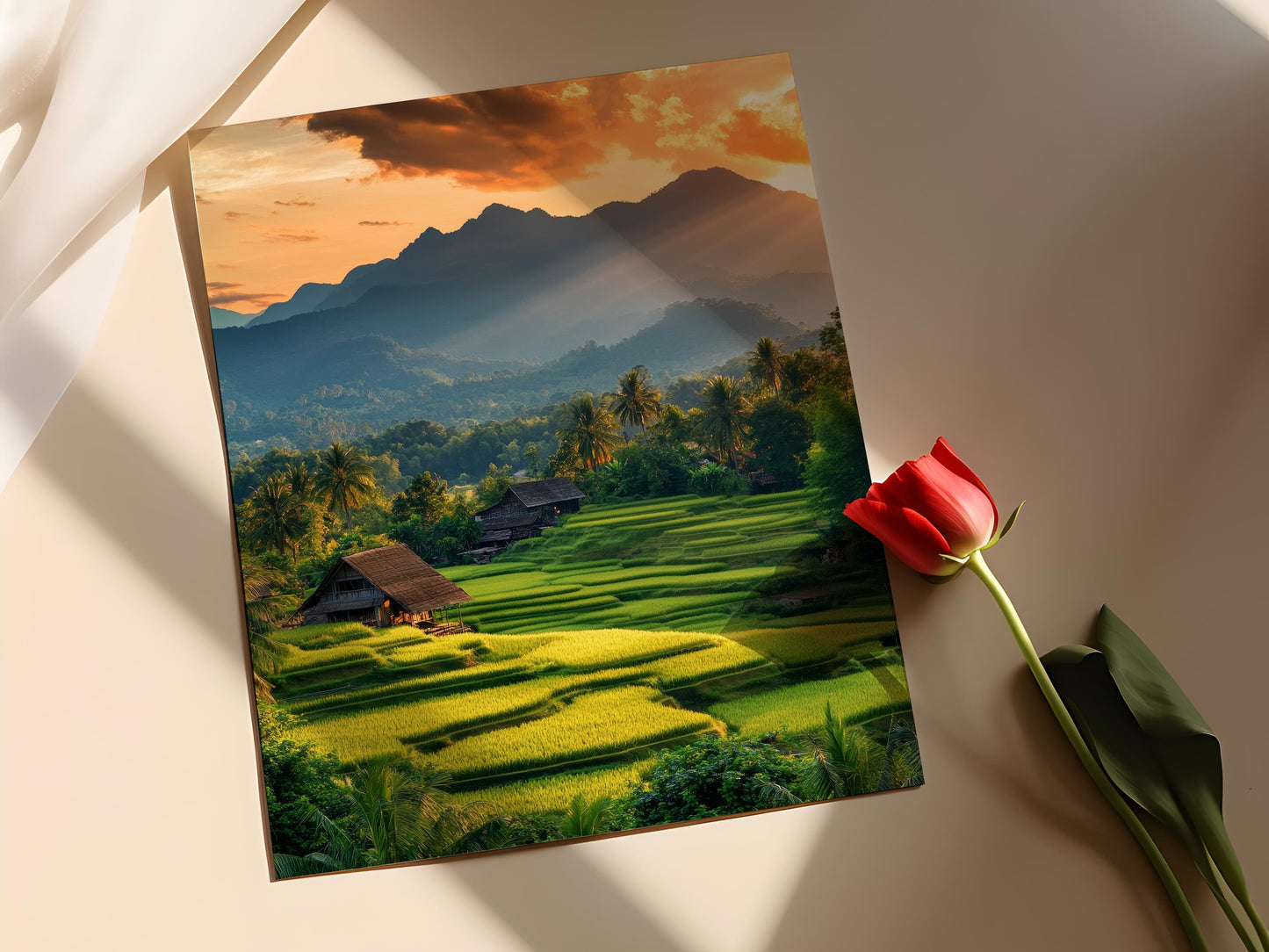 Affiche Champs de Riz en Thaïlande – Impression Art, Couleur Crépuscule