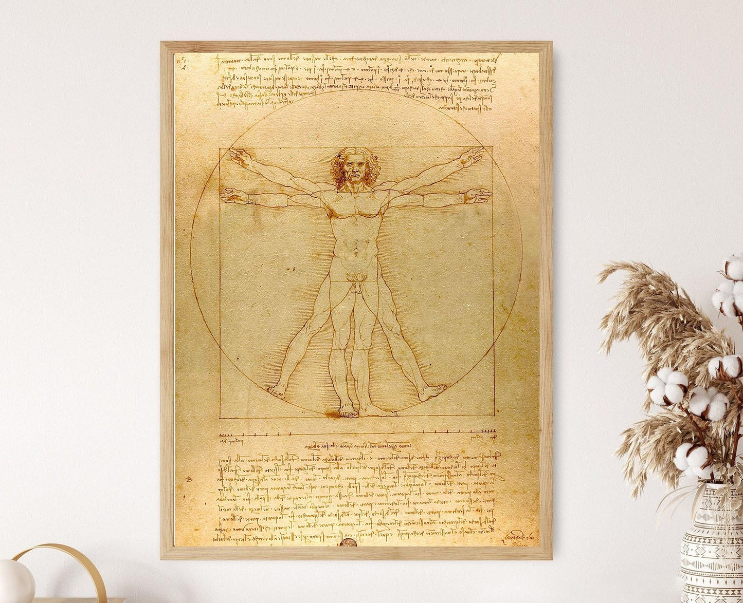 Affiche Vitruve – Poster Art de Léonard de Vinci sur l'anatomie