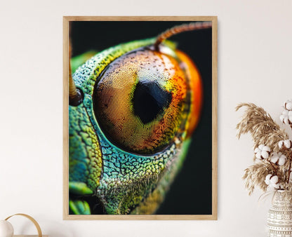 Affiche Saute-mouton – Poster Art Macro Détails Complexes