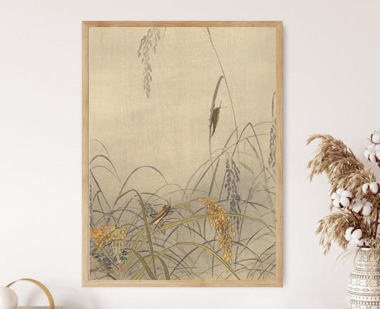 Affiche Sauterelles sur Riz, 1910 – Poster Art Shin Hanga Ohara Koson